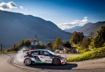 Medved na reliju po dolini Soče z novim izzivom